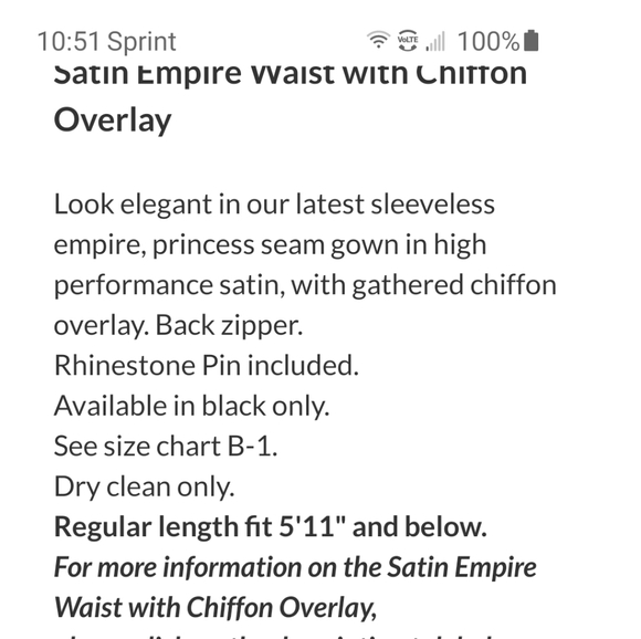 SATIN EMPIRE WAIST WITH CHIFFON OVERLAY - Picture 3 of 3